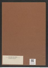 Diatomeae indet. (de-Toni-Nr.: Species 3713 ?) Zeichnungen Sammlung Grunow Mappe 04024 (Herbarium_W_Grunow_drawings_Folder_04024)